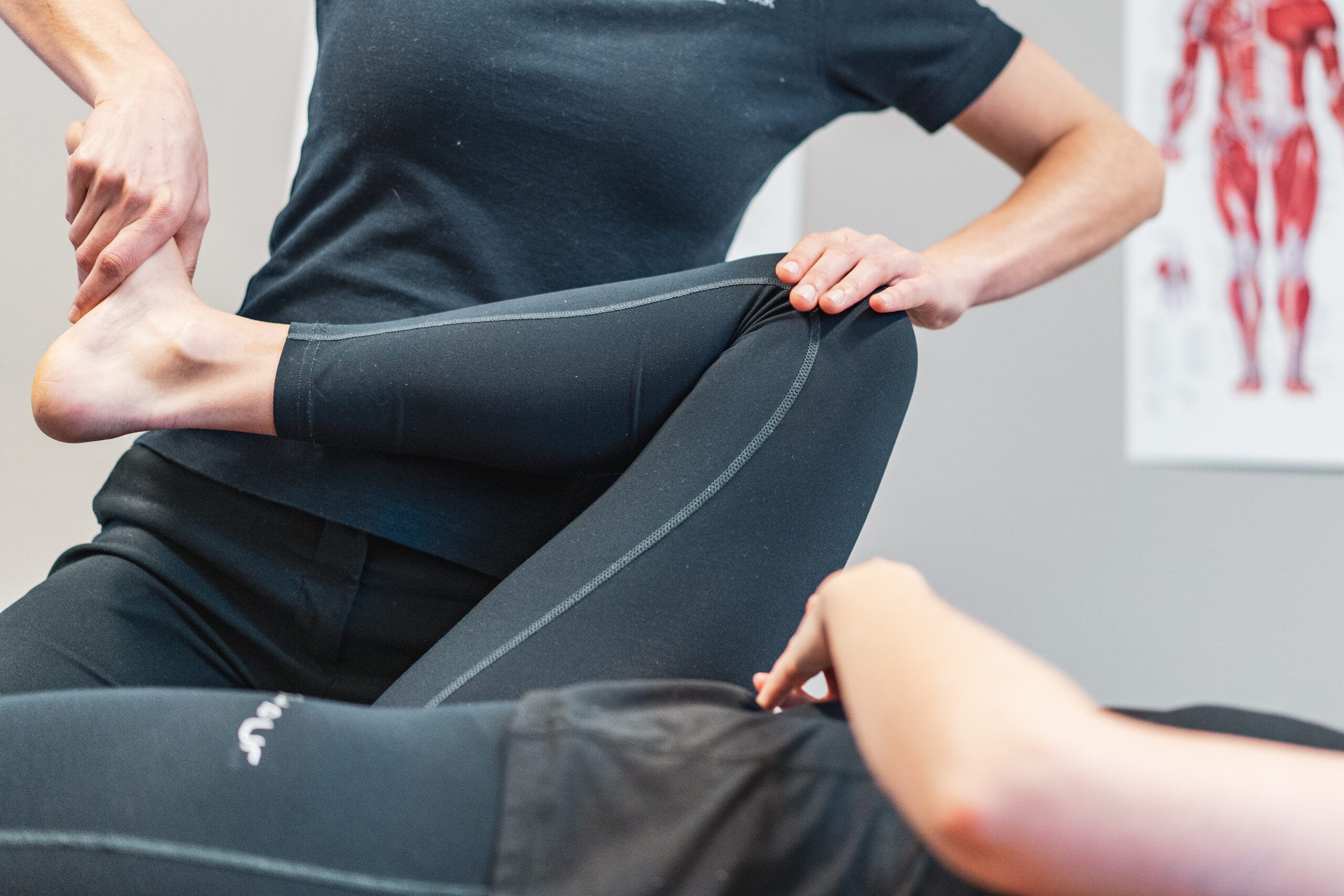 Lyskeplager / hofte / Osteopat/ Kiropraktor / Drammen by / Et tverrfaglig behandlingstilbud / Drammen Kiropraktikk og Helse / Kiropraktor