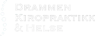 Logo / Hvit / Et tverrfaglig behandlingstilbud / Drammen Kiropraktikk og Helse / Kiropraktor og fysioterapeut Drammen Kiropraktikk & Helse